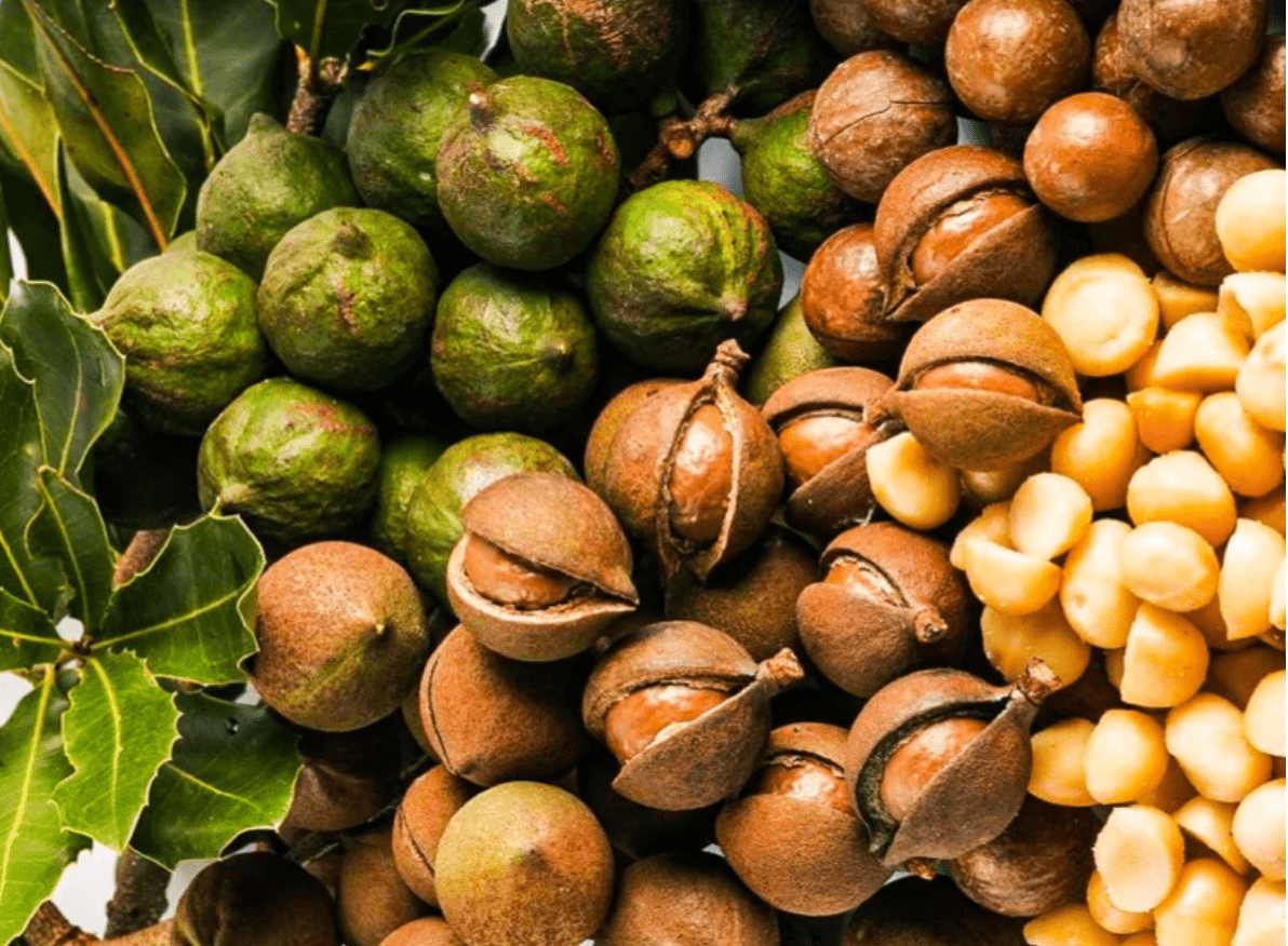 Macadamia Nut Pancake Mix 11oz | Hawaiian Farmers Market